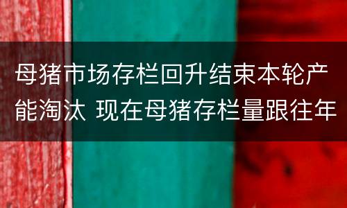 母猪市场存栏回升结束本轮产能淘汰 现在母猪存栏量跟往年对比