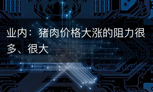 业内：猪肉价格大涨的阻力很多、很大