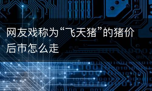 网友戏称为“飞天猪”的猪价后市怎么走