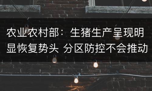 农业农村部：生猪生产呈现明显恢复势头 分区防控不会推动猪价上