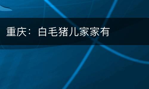 重庆：白毛猪儿家家有