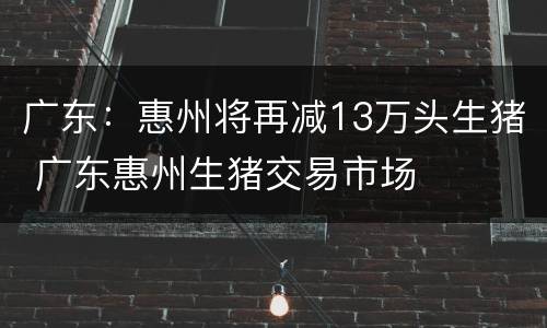 广东：惠州将再减13万头生猪 广东惠州生猪交易市场