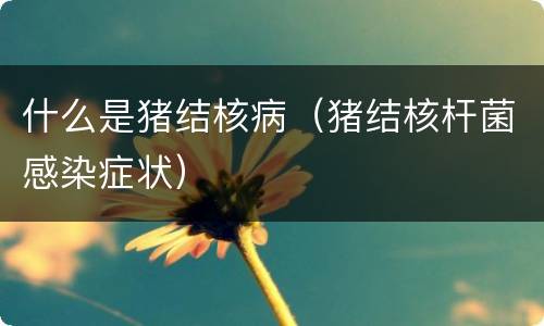 什么是猪结核病（猪结核杆菌感染症状）