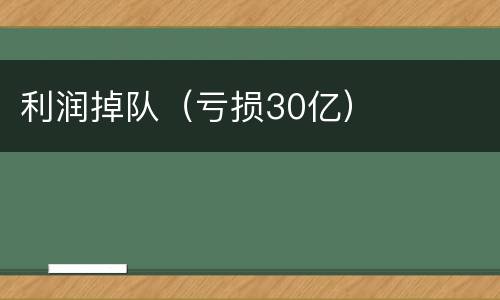 利润掉队（亏损30亿）