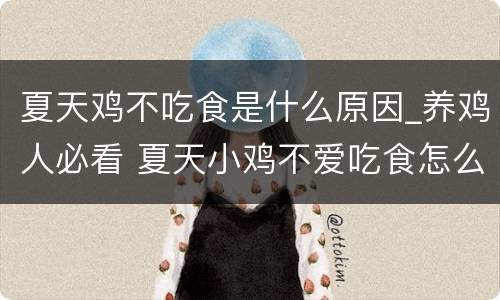 夏天鸡不吃食是什么原因_养鸡人必看 夏天小鸡不爱吃食怎么回事