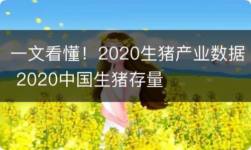 一文看懂！2020生猪产业数据 2020中国生猪存量