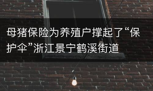 母猪保险为养殖户撑起了“保护伞”浙江景宁鹤溪街道