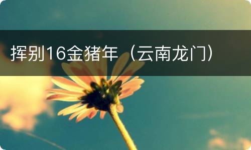 挥别16金猪年（云南龙门）