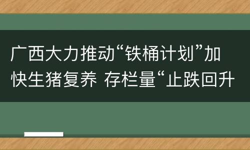 广西大力推动“铁桶计划”加快生猪复养 存栏量“止跌回升”