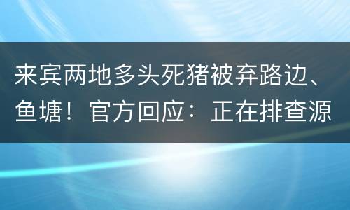 来宾两地多头死猪被弃路边、鱼塘！官方回应：正在排查源头
