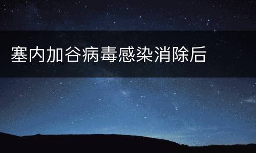 塞内加谷病毒感染消除后