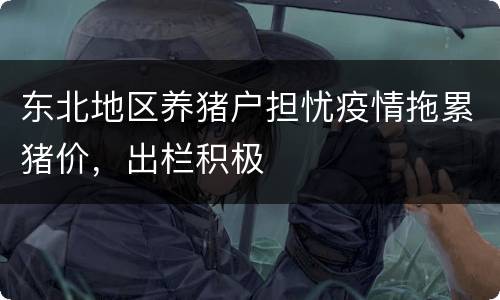 东北地区养猪户担忧疫情拖累猪价，出栏积极