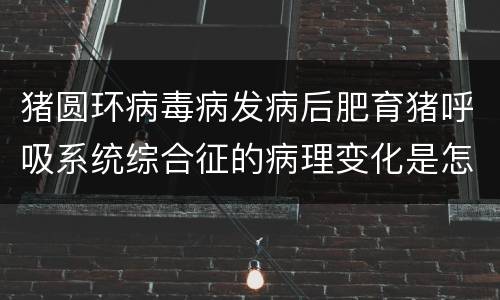猪圆环病毒病发病后肥育猪呼吸系统综合征的病理变化是怎样的？