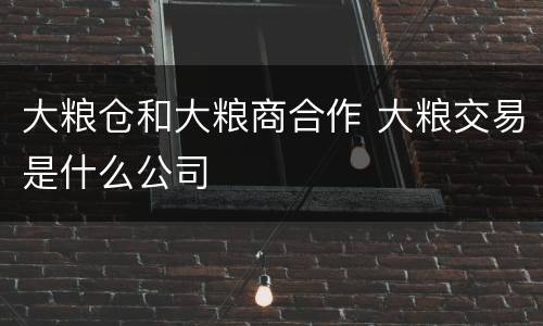 大粮仓和大粮商合作 大粮交易是什么公司