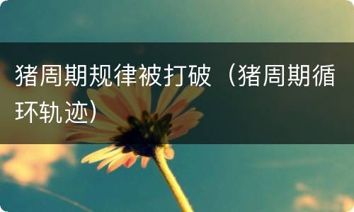 猪周期规律被打破（猪周期循环轨迹）