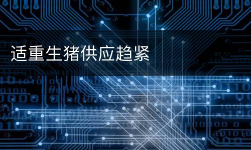 适重生猪供应趋紧
