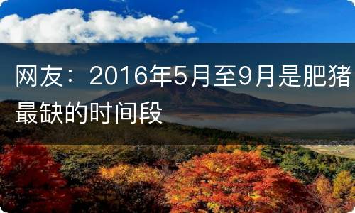 网友：2016年5月至9月是肥猪最缺的时间段