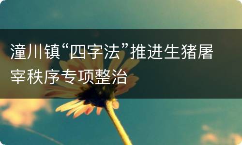 潼川镇“四字法”推进生猪屠宰秩序专项整治