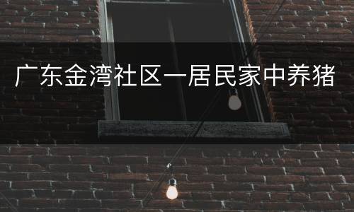 广东金湾社区一居民家中养猪