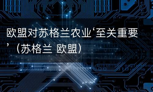 欧盟对苏格兰农业‘至关重要’（苏格兰 欧盟）