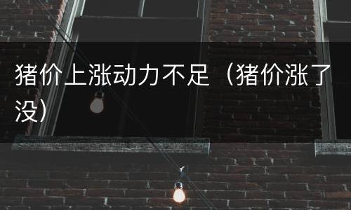 猪价上涨动力不足（猪价涨了没）