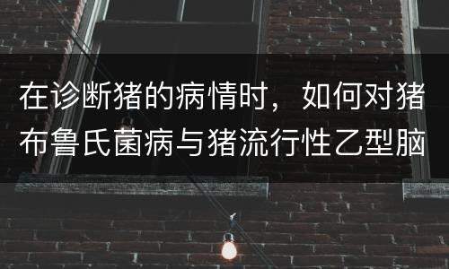 在诊断猪的病情时，如何对猪布鲁氏菌病与猪流行性乙型脑炎进行鉴