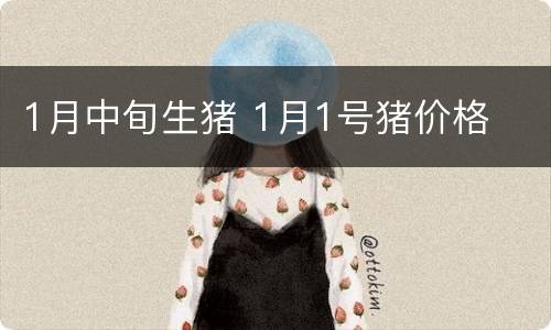 1月中旬生猪 1月1号猪价格