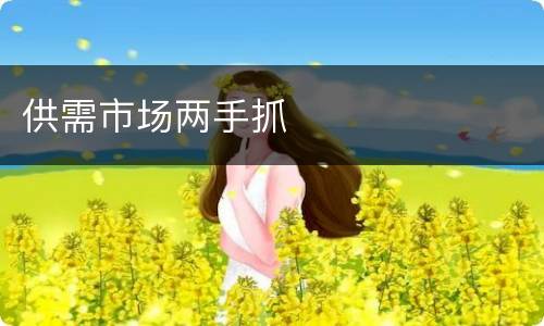 供需市场两手抓