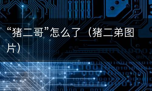 “猪二哥”怎么了（猪二弟图片）