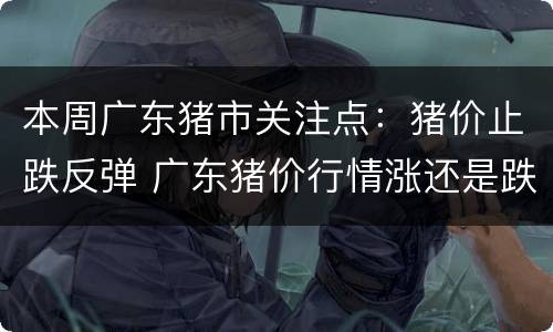本周广东猪市关注点：猪价止跌反弹 广东猪价行情涨还是跌呢?