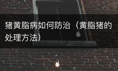 猪黄脂病如何防治（黄脂猪的处理方法）