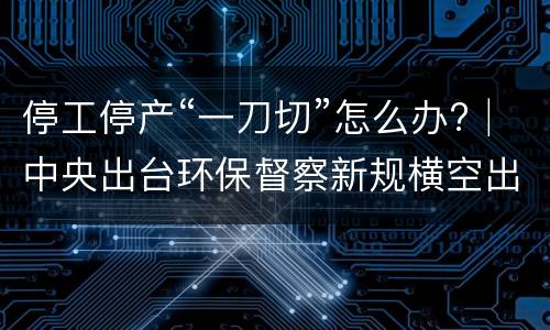 停工停产“一刀切”怎么办?│中央出台环保督察新规横空出世（附