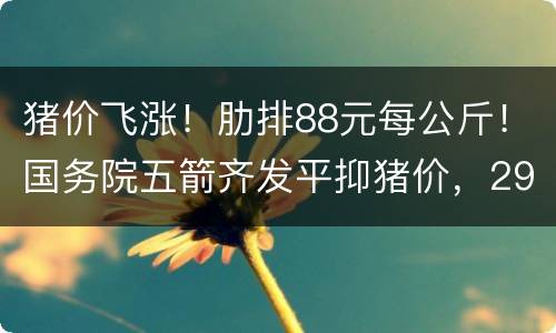 猪价飞涨！肋排88元每公斤！国务院五箭齐发平抑猪价，29省下发20