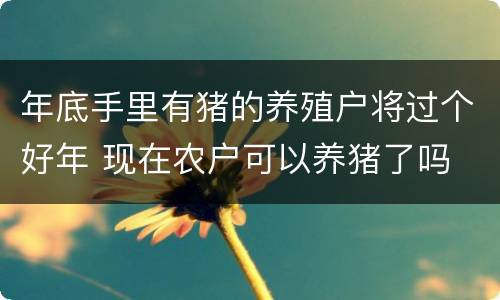 年底手里有猪的养殖户将过个好年 现在农户可以养猪了吗