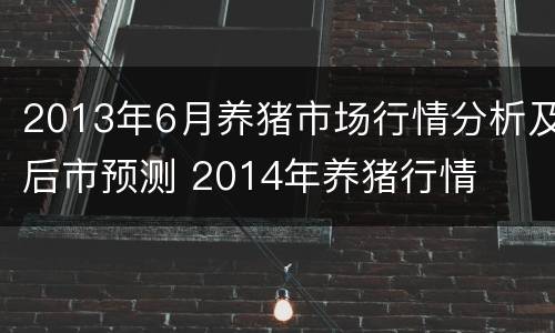 2013年6月养猪市场行情分析及后市预测 2014年养猪行情