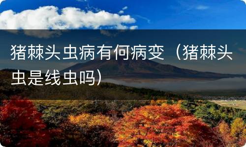 猪棘头虫病有何病变（猪棘头虫是线虫吗）