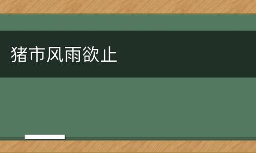 猪市风雨欲止