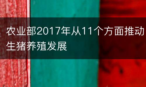 农业部2017年从11个方面推动生猪养殖发展