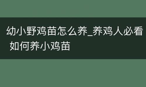 幼小野鸡苗怎么养_养鸡人必看 如何养小鸡苗