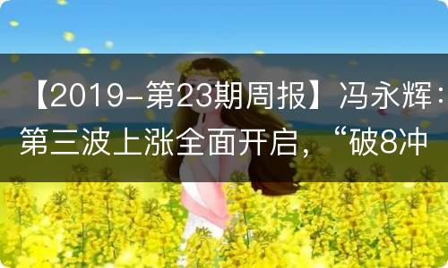 【2019-第23期周报】冯永辉：第三波上涨全面开启，“破8冲9”已
