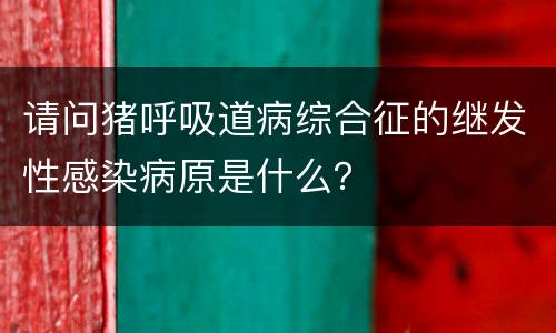 请问猪呼吸道病综合征的继发性感染病原是什么？