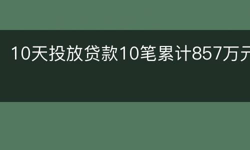 10天投放贷款10笔累计857万元