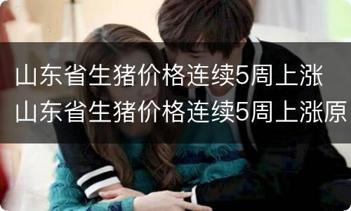 山东省生猪价格连续5周上涨 山东省生猪价格连续5周上涨原因
