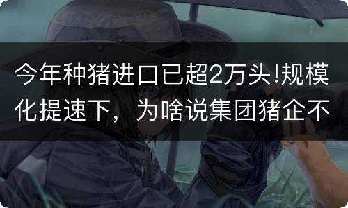 今年种猪进口已超2万头!规模化提速下，为啥说集团猪企不一定干得