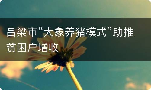 吕梁市“大象养猪模式”助推贫困户增收
