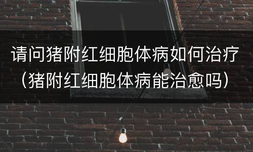 请问猪附红细胞体病如何治疗（猪附红细胞体病能治愈吗）
