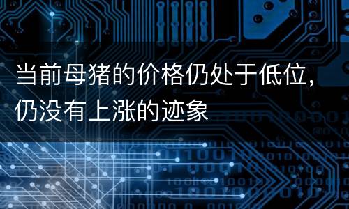 当前母猪的价格仍处于低位，仍没有上涨的迹象