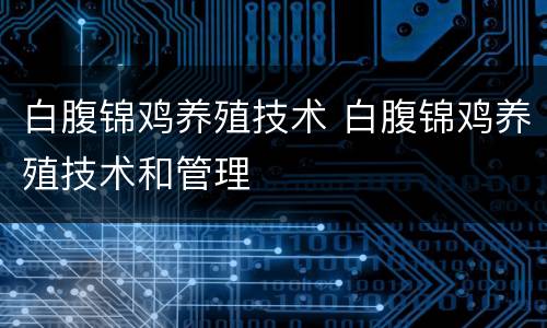 白腹锦鸡养殖技术 白腹锦鸡养殖技术和管理
