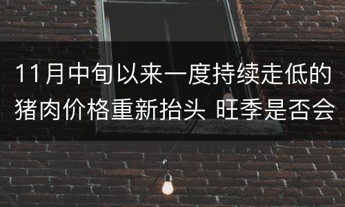11月中旬以来一度持续走低的猪肉价格重新抬头 旺季是否会再次飙