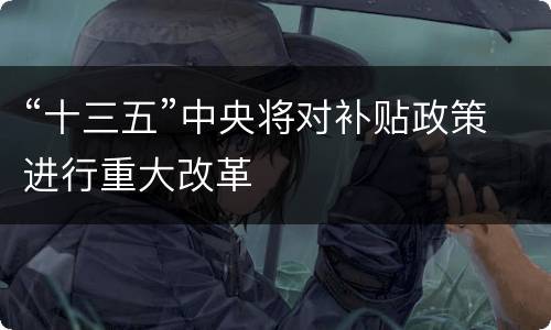 “十三五”中央将对补贴政策进行重大改革